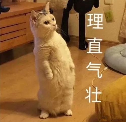 百度网盘突然大调整,网友炸了