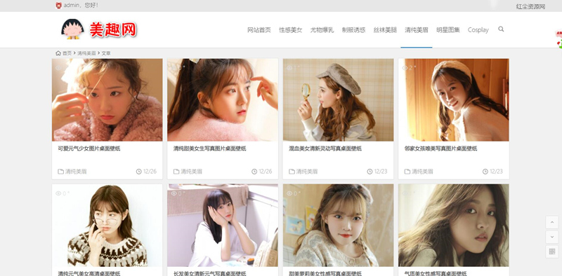 WordPress知更鸟MM图片采集站源码 自带采集规则