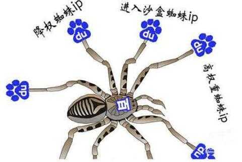 如何让搜索引擎更好的爬取网站