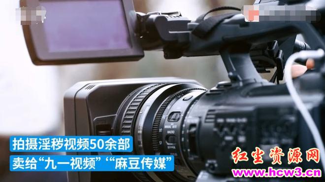 点击量超400万的麻豆传媒覆灭!专业经纪公司,沦为“岛片”生产基地,APP拍摄团队24人被抓!