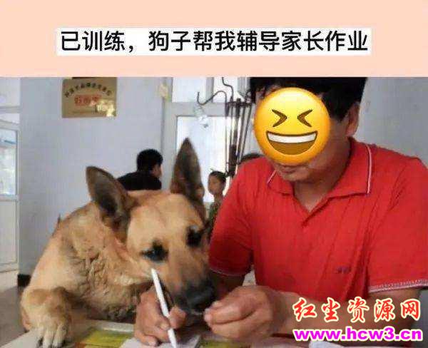 点击量超400万的麻豆传媒覆灭!专业经纪公司,沦为“岛片”生产基地,APP拍摄团队24人被抓!