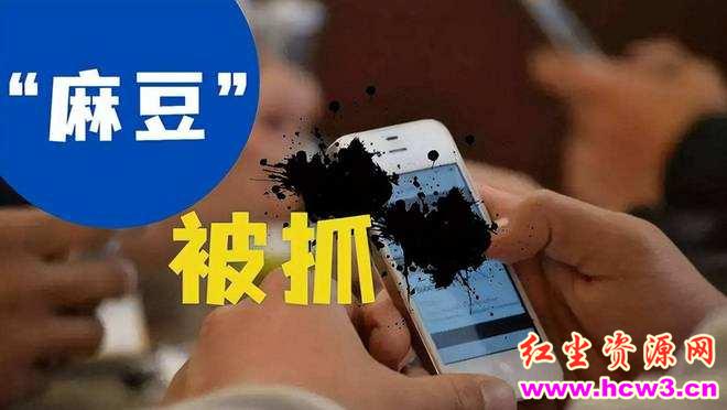 点击量超400万的麻豆传媒覆灭!专业经纪公司,沦为“岛片”生产基地,APP拍摄团队24人被抓!
