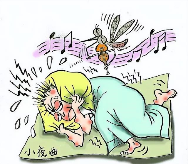 今年的蚊子好像变少了,蚊子难道也怕热北上避暑了?