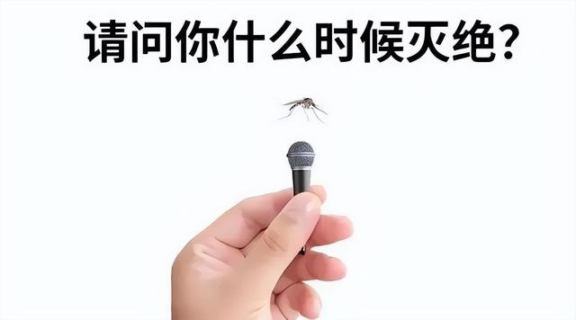 今年的蚊子好像变少了,蚊子难道也怕热北上避暑了?