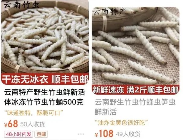 游客在丽江60元买2串烤虫,官方称明码标价、买卖自愿