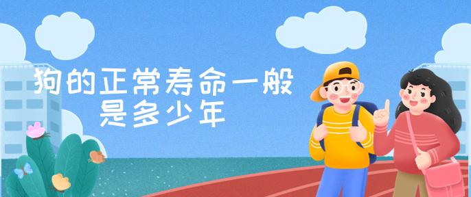 狗的正常寿命一般是多少年