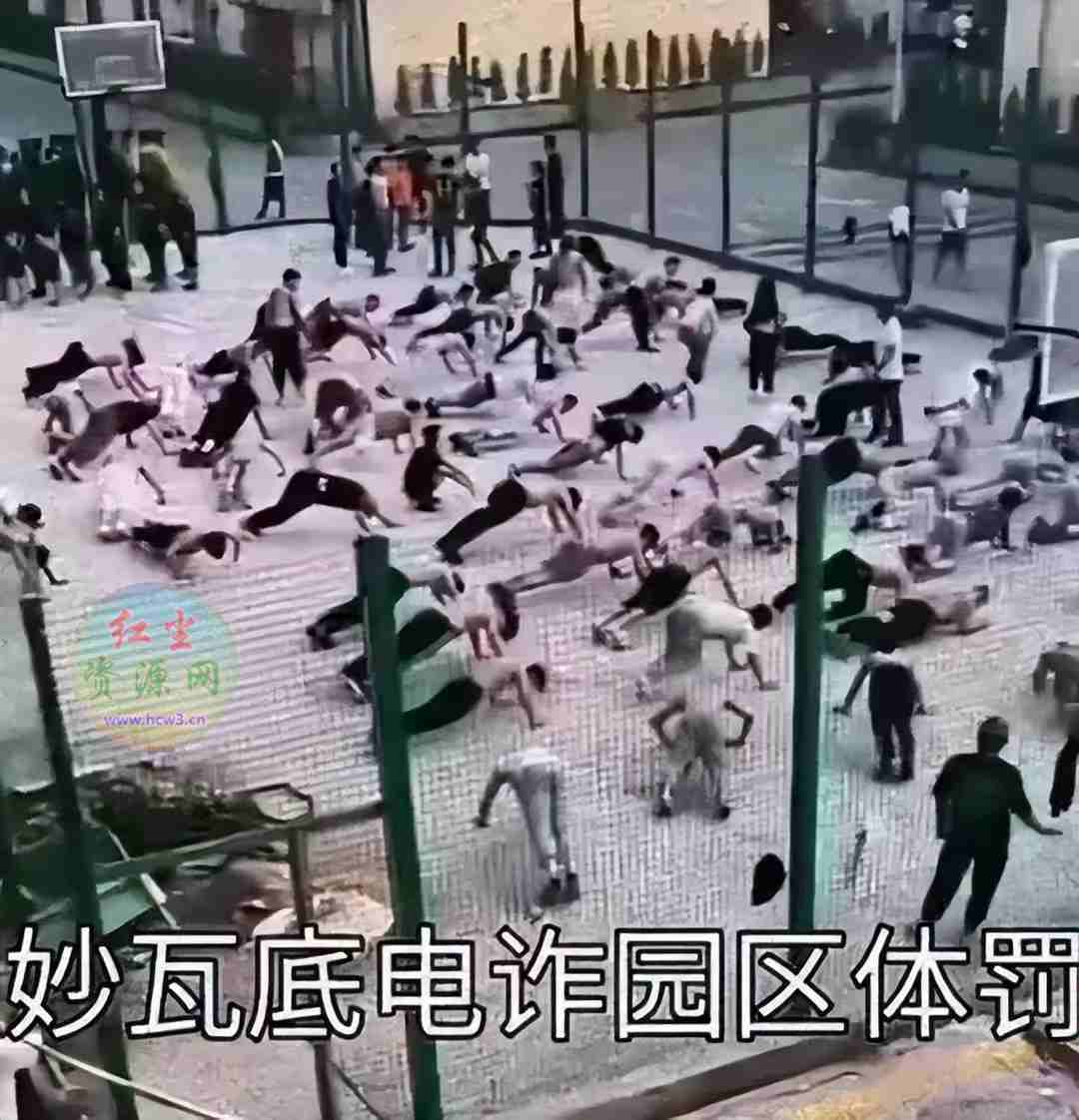 噶腰子、鞭刑、人体试验:中国人在缅甸诈骗集团的悲惨“猪仔”生活