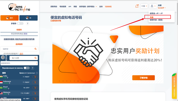 2023成功注册ChatGPT通过海外手机号验证的方法,附chatgpt手机号验证接码平台