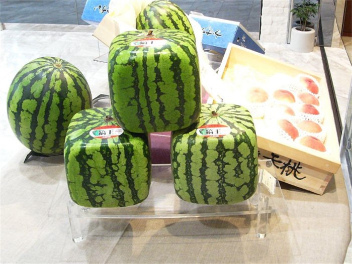 日本人吃西瓜要撒盐 这是什么癖好(日本水果)