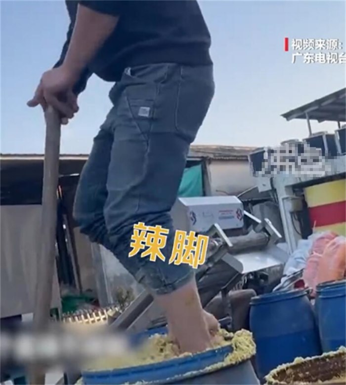 汕头腌制厂工人腌菜 直接用脚踩(肮脏食物)