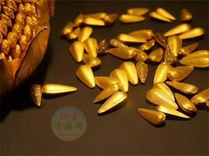 清朝皇帝打赏的金瓜子 究竟是什么(身份的象征)