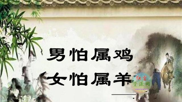 古代俗语男怕属鸡 女怕属羊什么意思 (有不好的事)