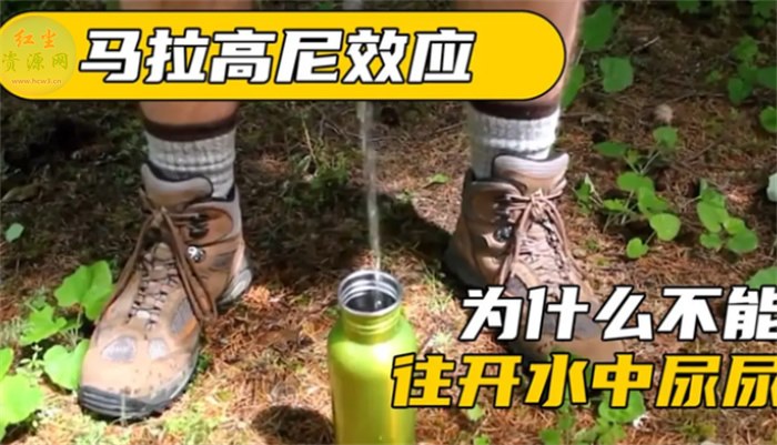 我们往开水里尿尿 可能会被烫伤(马拉高尼效应)