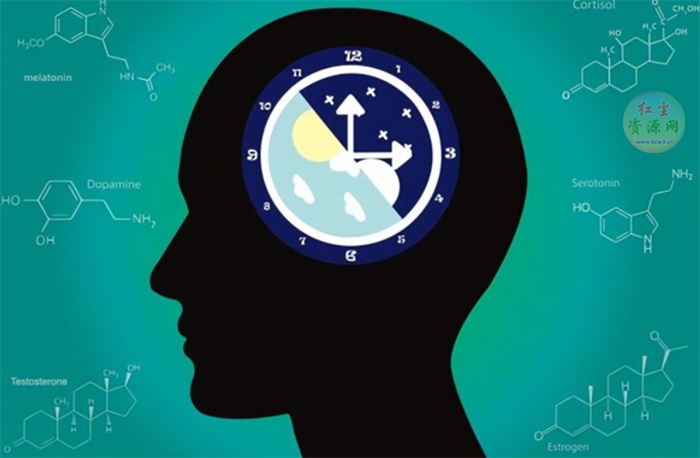 人体“生物钟”从何而来 研究发现 想要健康长寿 要重视它