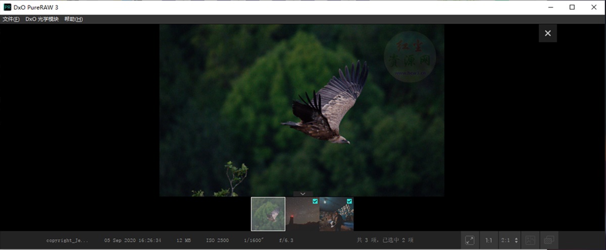DxO PureRAW(图像处理软件)v6.5.1 Build 1 中文绿色便携版