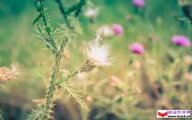 情商低的人,开口闭口都是这“三种话”,别不在意会惹人烦