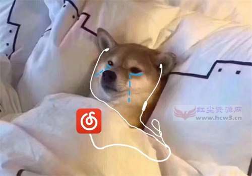 什么是网抑云 网抑云是什么梗