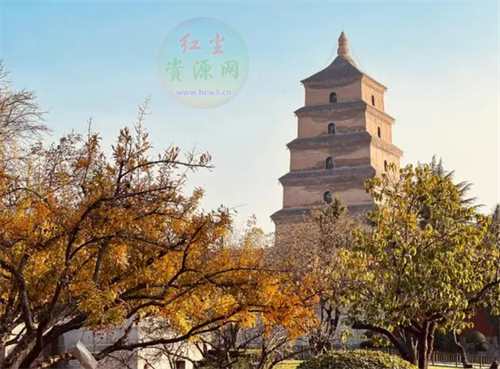西安有哪些旅游景点 西安旅游必去景点攻略