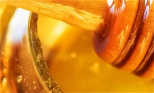 蜂蜜和什么茶一起喝好(蜂蜜和什么茶配合适)
