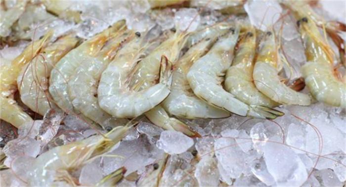 充满科技的几种海鲜 最好不要吃它们(科技海鲜)
