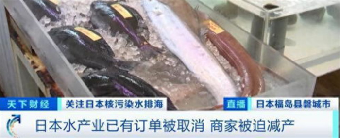 日本超市目前已经停止售卖水产品 日本企业心态崩了