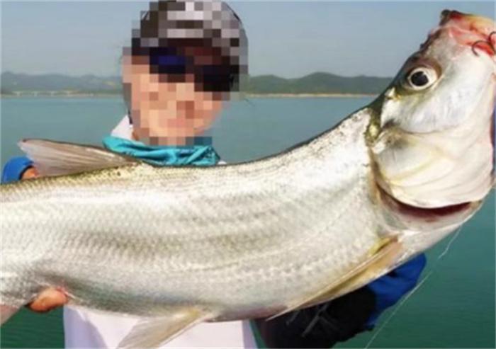 用活泥鳅钓鱼为何会判刑 用活泥鳅钓鱼对生态的危害