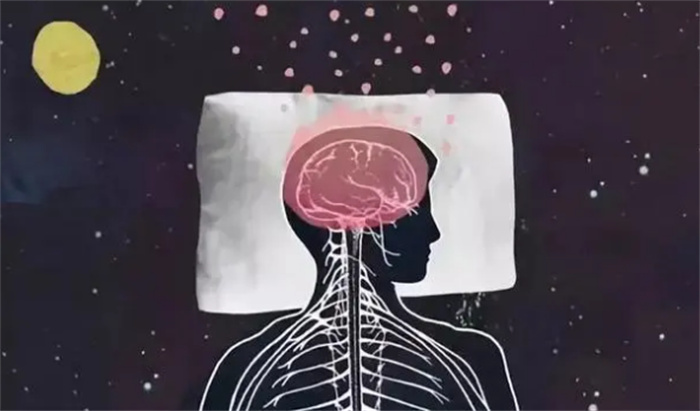 人如果长期不睡觉 坚持几天会导致崩溃(人类睡眠)