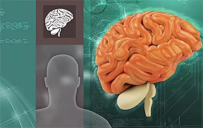 人如果长期不睡觉 坚持几天会导致崩溃(人类睡眠)