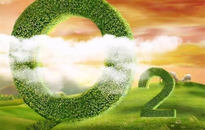 如果地球的氧气含量突然增加一倍,会发生什么?