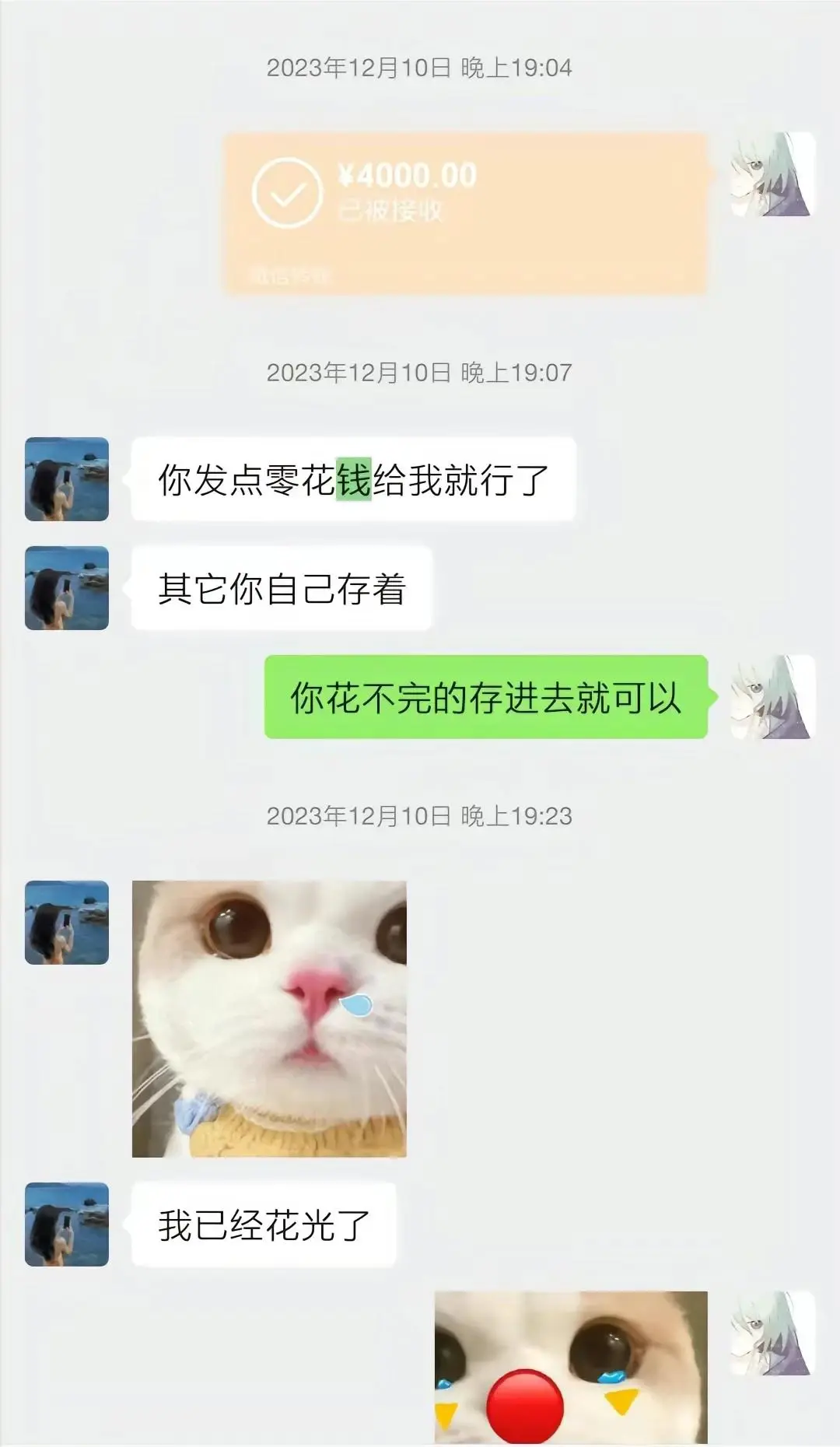 胖猫事情来龙去脉曝光!沉沦爱情陷阱,聊天记录看了让人心寒愤怒