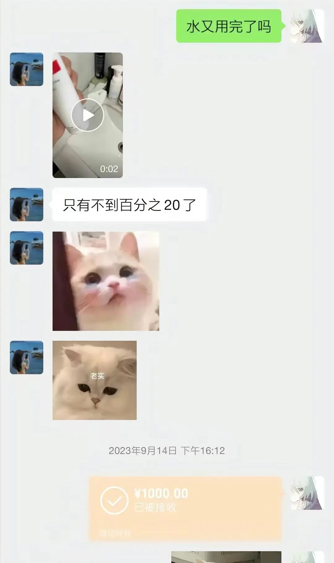 胖猫事情来龙去脉曝光!沉沦爱情陷阱,聊天记录看了让人心寒愤怒