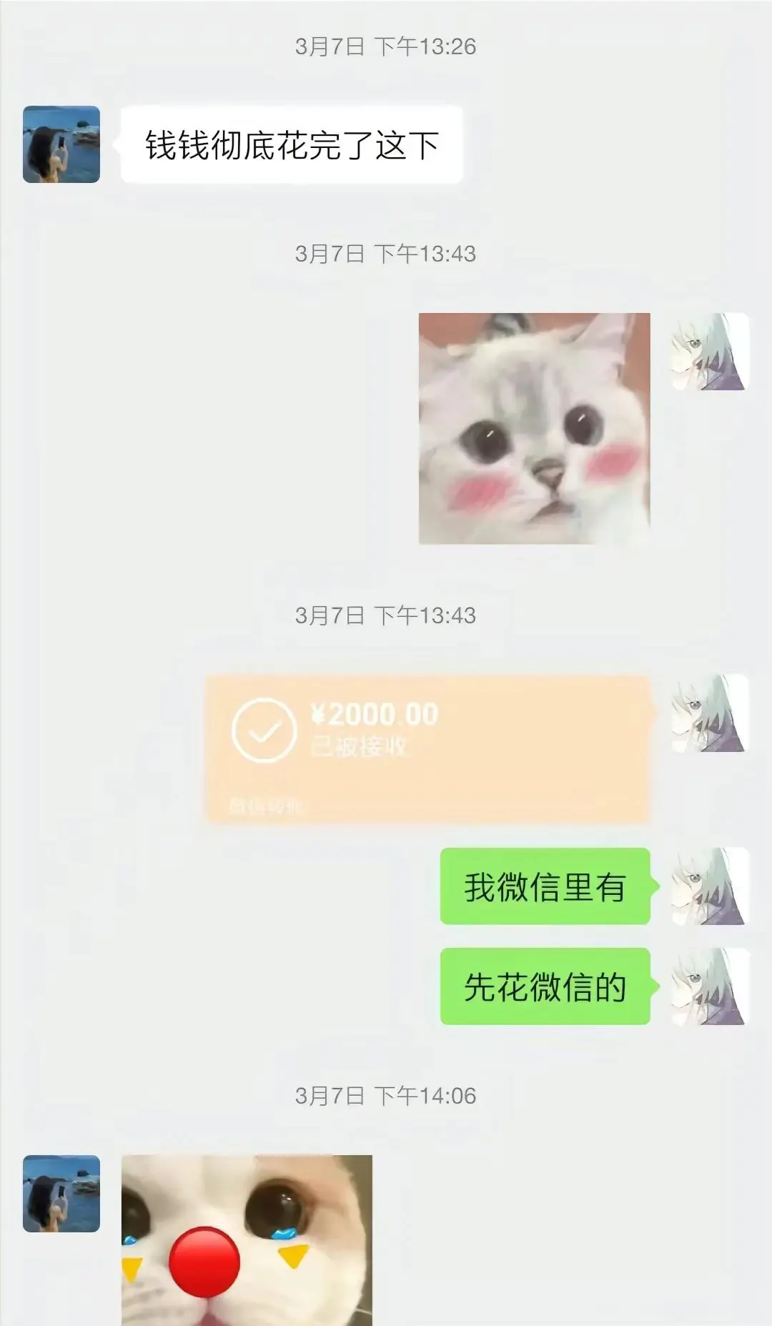 胖猫事情来龙去脉曝光!沉沦爱情陷阱,聊天记录看了让人心寒愤怒