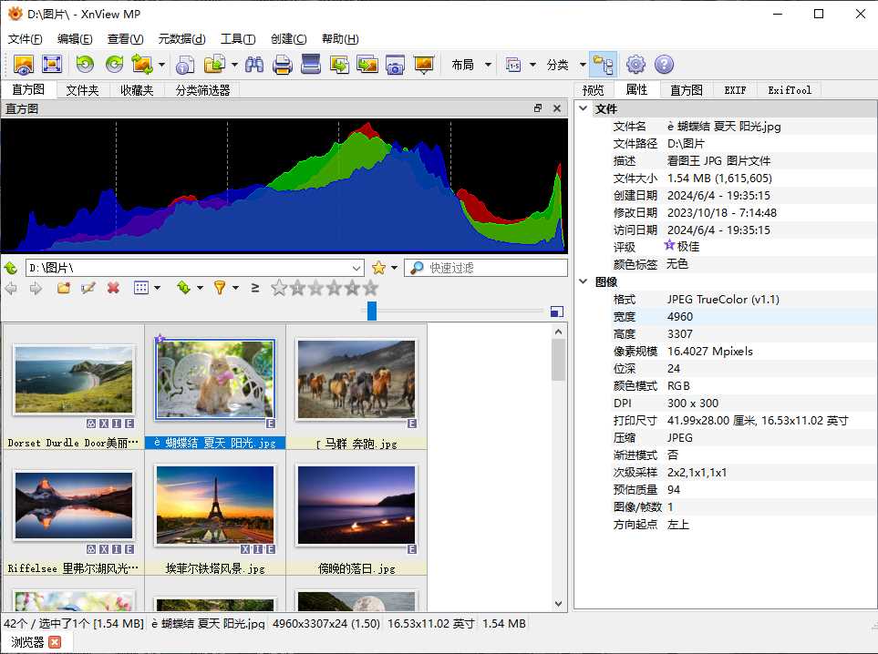 XnViewMP(图像查看器) v1.11.5 中文绿色版