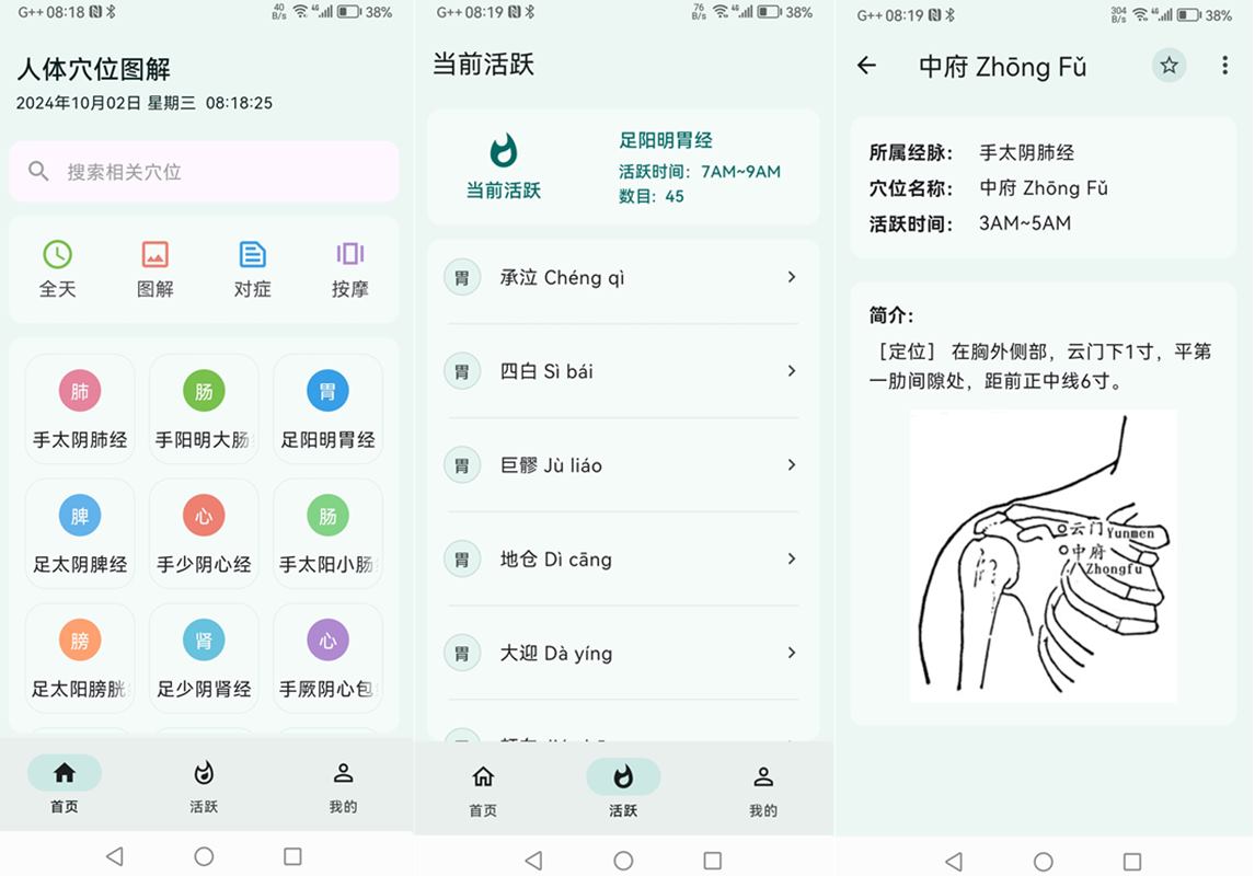 人体穴位图解 v3.2.1 去广告纯净版