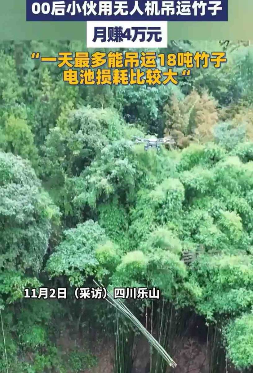 四川00后小伙无人机运竹子月入4万,电池成本惊人揭露