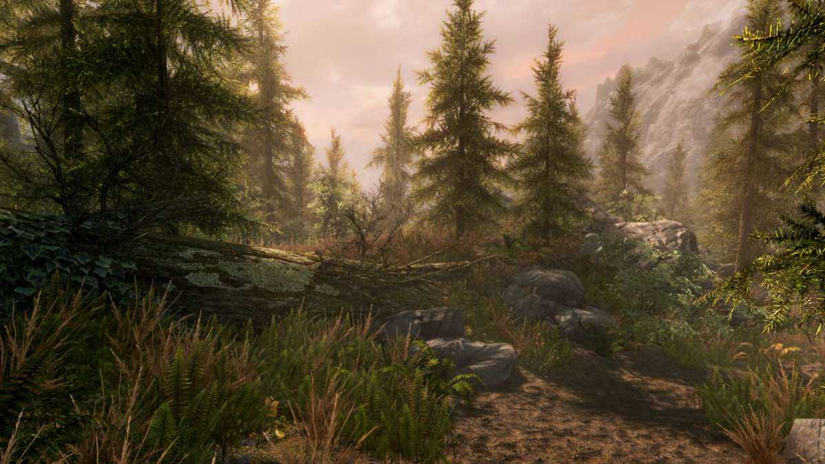 上古卷轴5 天际 豪华年度传奇 v2.0.5 重制版 | 整合MOD威猛版+全DLC|解压即撸