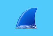 Wireshark中文版(网络抓包工具) v4.7.1 多语便携版