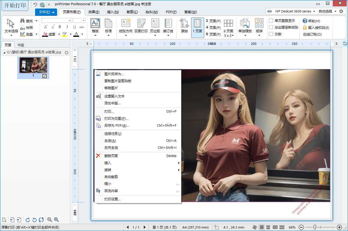 priPrinter Professional(虚拟打印机) v7.0.0.2620 中文直装版